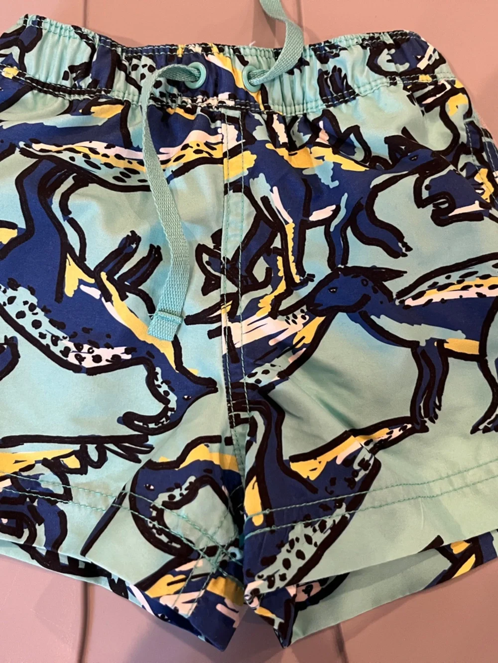 Hanna Andersson bathing suit boys size 2t